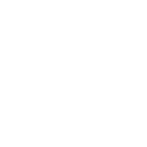 Digital Thermometer (60 sec)